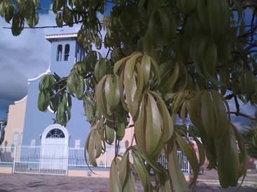 abril2009038.jpg