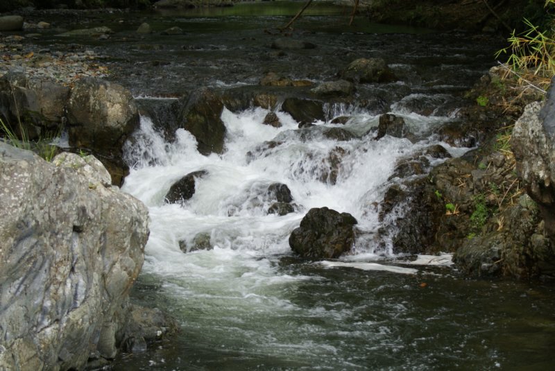 aguafuertepiedragrande.jpg