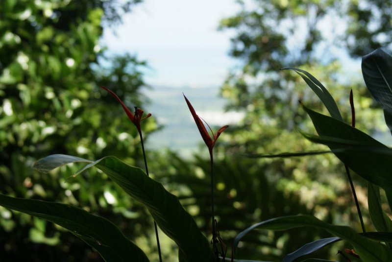 cielito.jpg