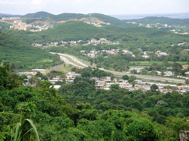 dsc01388.jpg