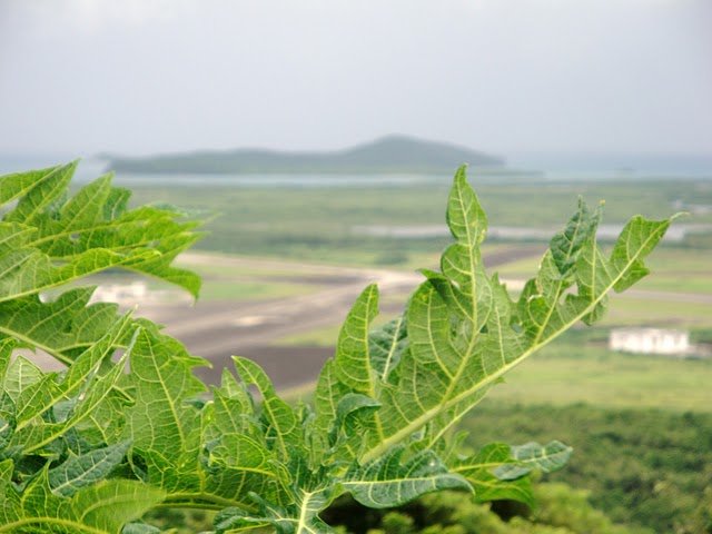 dsc01389.jpg