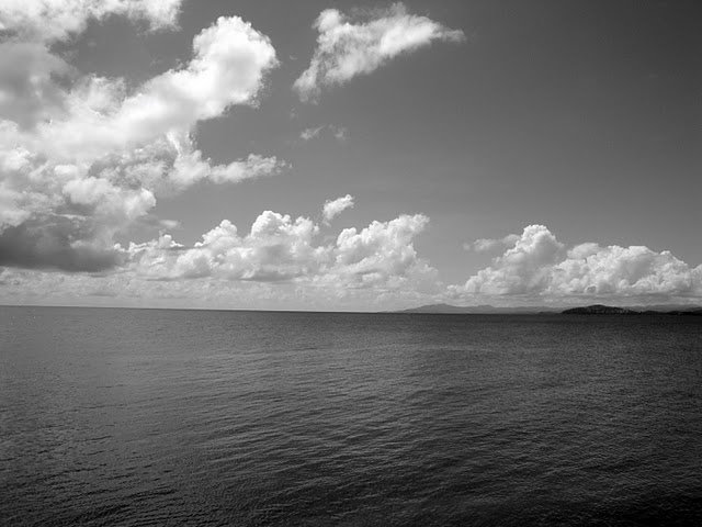 dsc01523.jpg