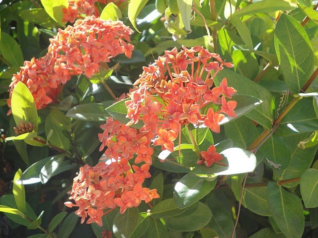 dsc01548.jpg
