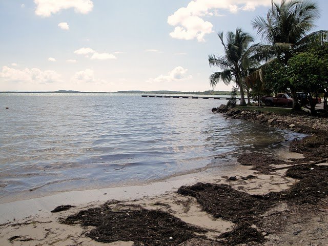 dsc01648.jpg