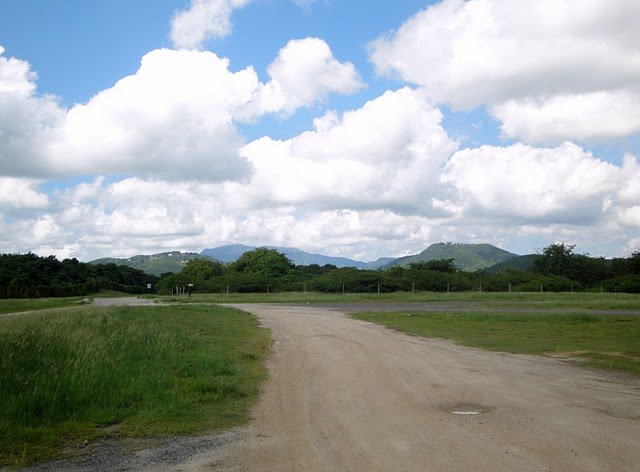 dsc01681.jpg