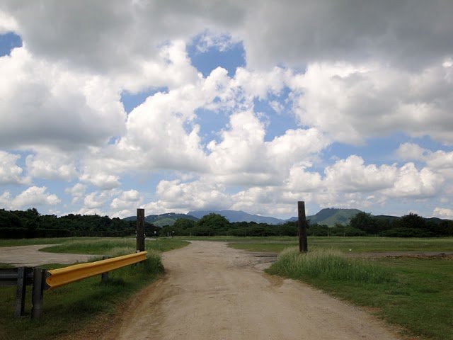 dsc01714.jpg
