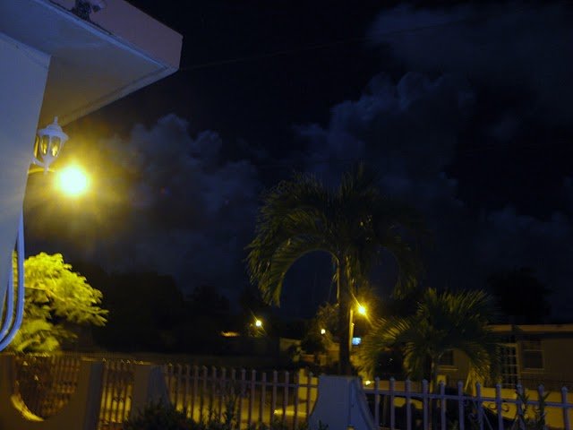 dsc01784.jpg