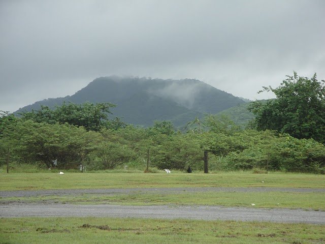 dsc01856.jpg