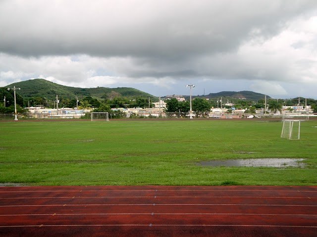 dsc01964.jpg