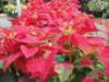 dsc02000_small.jpg