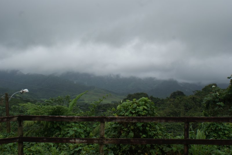dsc06684.jpg