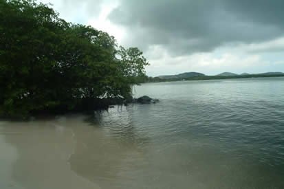 dscf0012.jpg