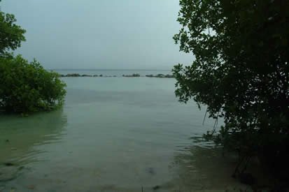 dscf0014.jpg