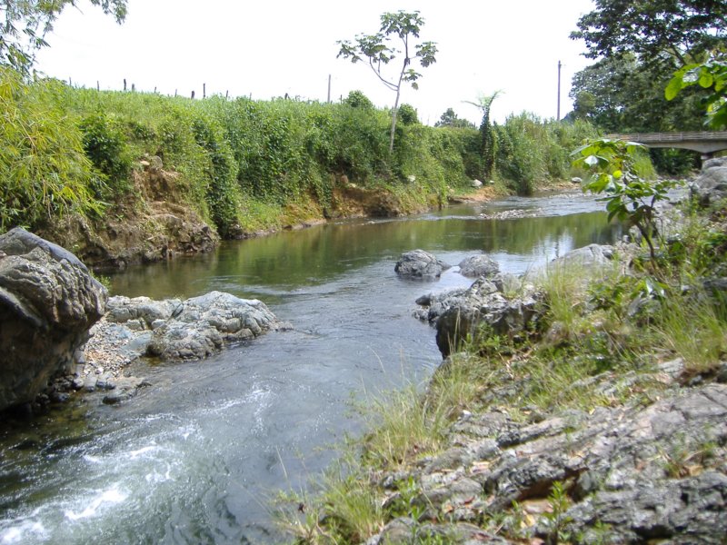 dscf0495.jpg