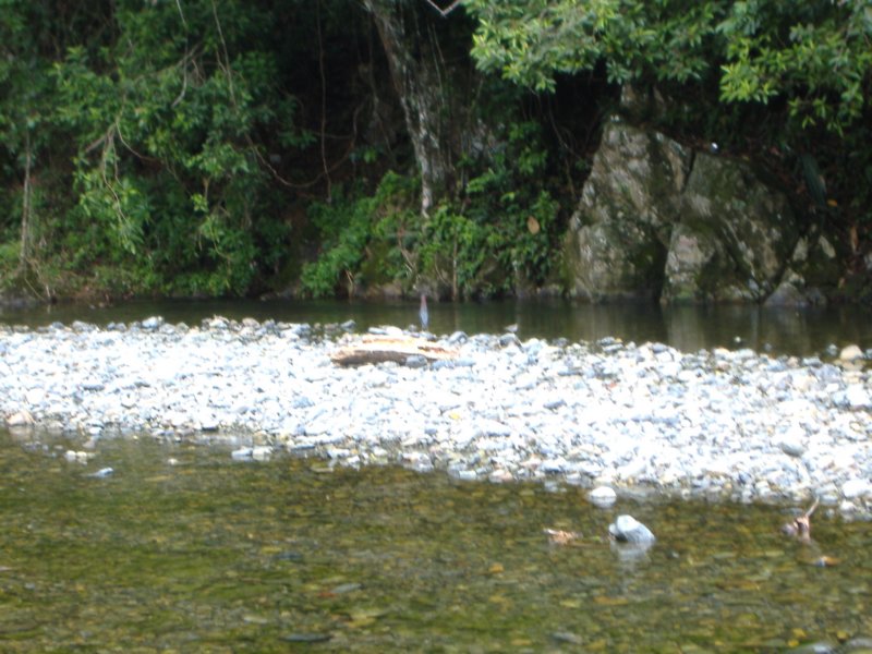 dscf0498.jpg