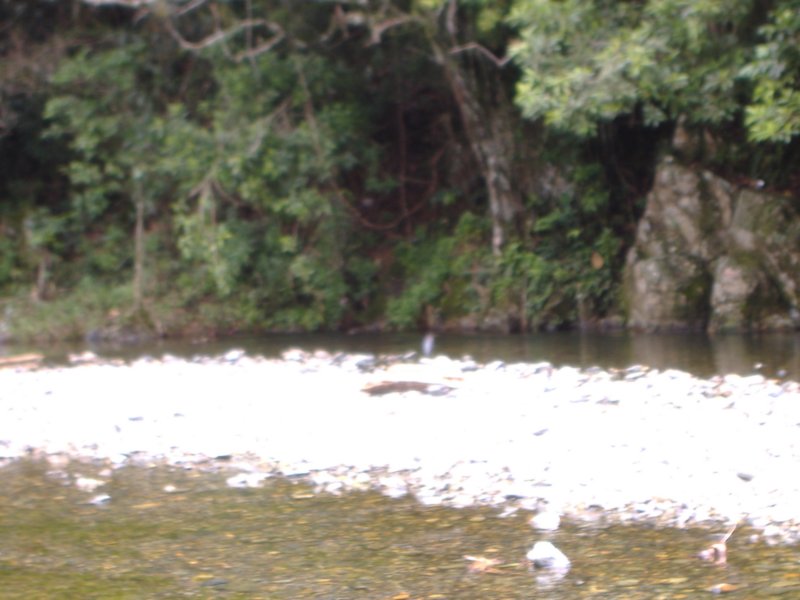 dscf0501.jpg