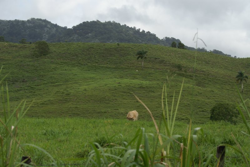 fincahermosa.jpg