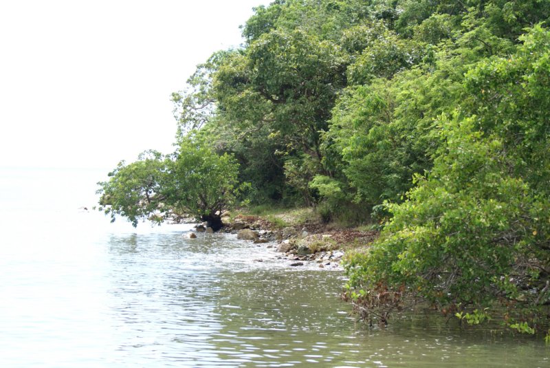 granbellezanatural.jpg