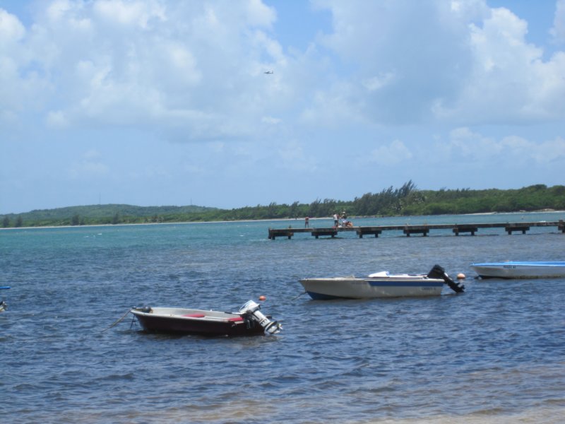 img_0795.jpg