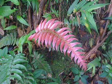 noviembre2009036.jpg