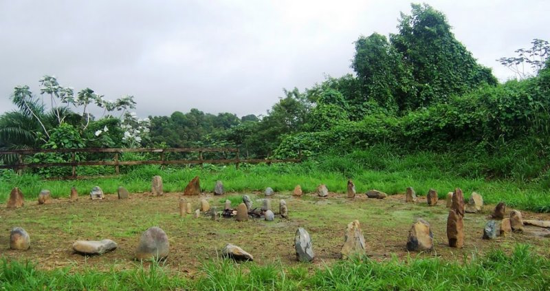 picture_071.jpg