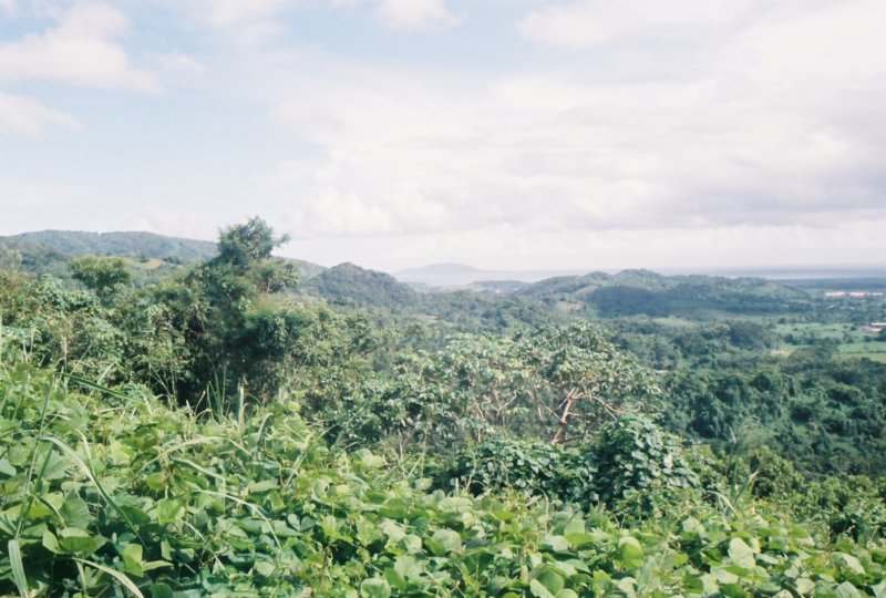 r1068.jpg