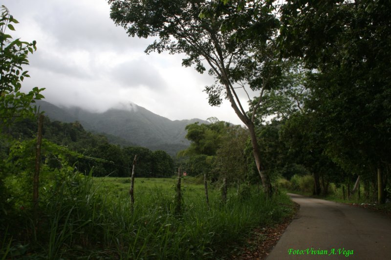camoniacharcofrio21.jpg