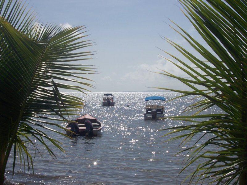 camp051.jpg