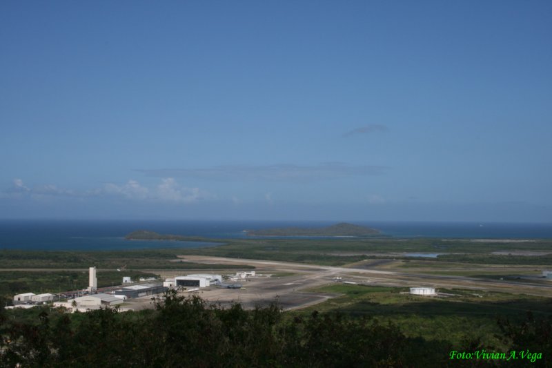 ce012.jpg