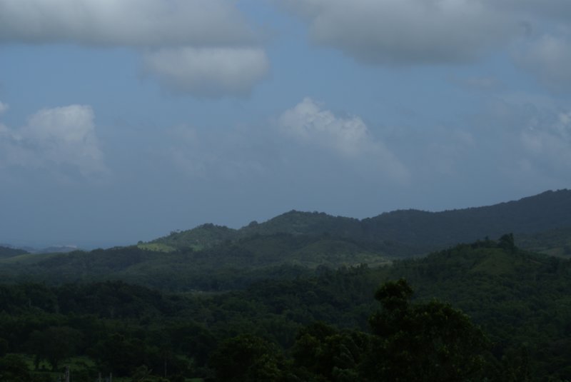 dsc00388.jpg