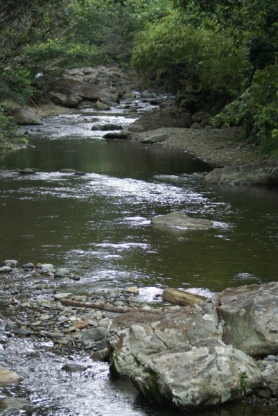 dsc00403.jpg