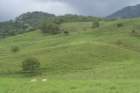 dsc00452_small.jpg