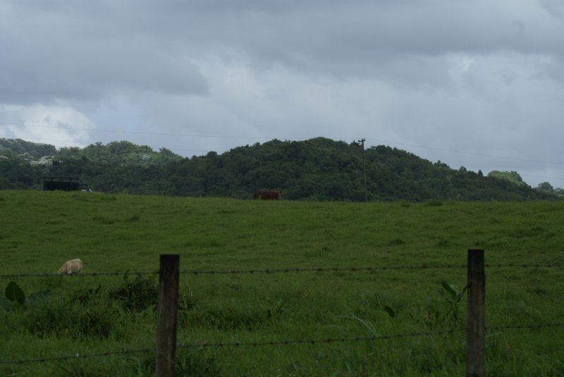 dsc00457.jpg