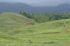 dsc00458_small.jpg