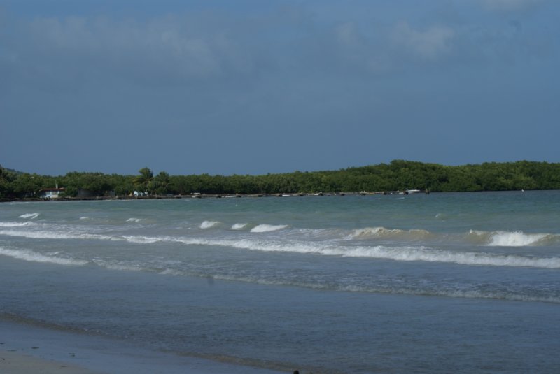 dsc00475.jpg