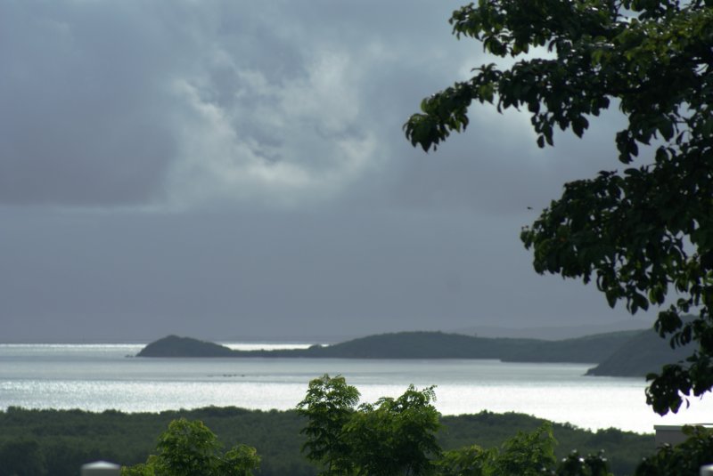 dsc00517.jpg