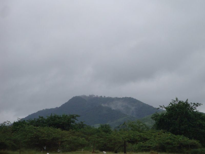 dsc02467.jpg