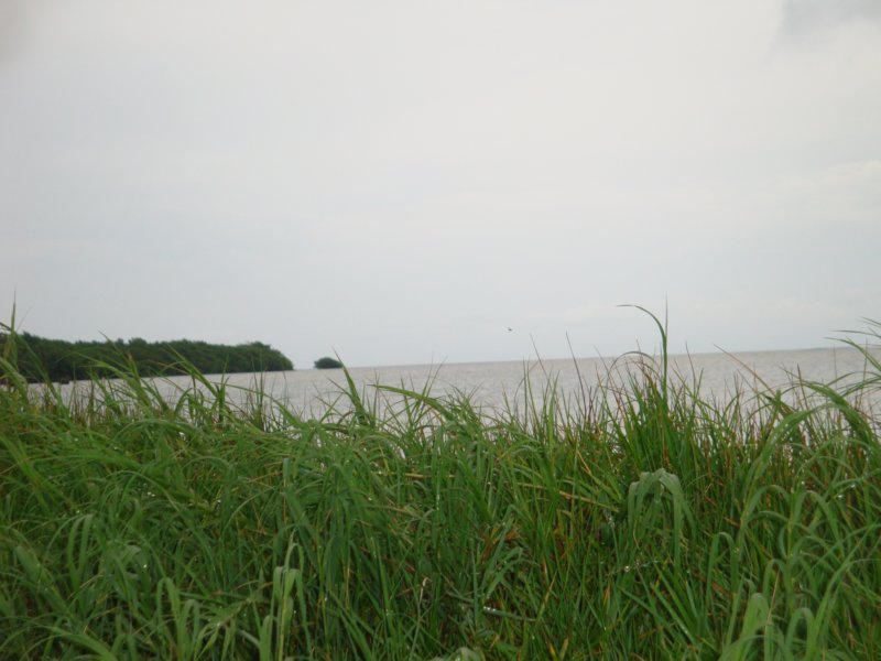 dsc02475.jpg