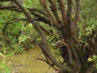 dsc02478_small.jpg