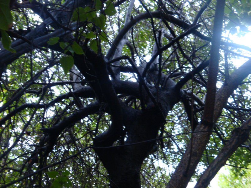 dsc02492.jpg
