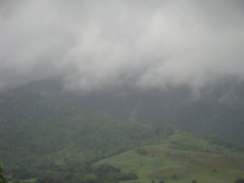 dsc02533.jpg