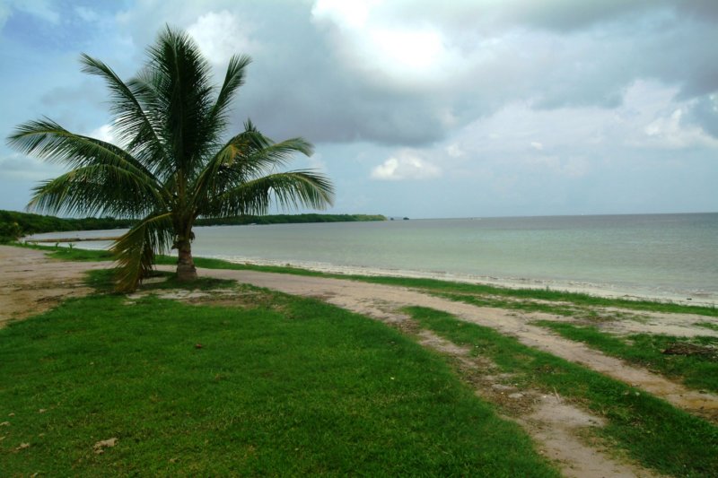 dscf0002.jpg