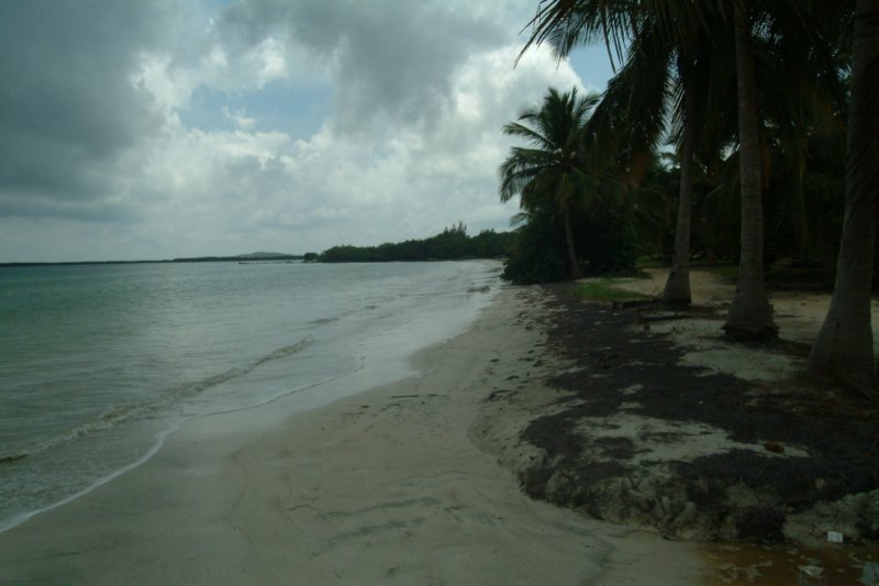dscf0005.jpg