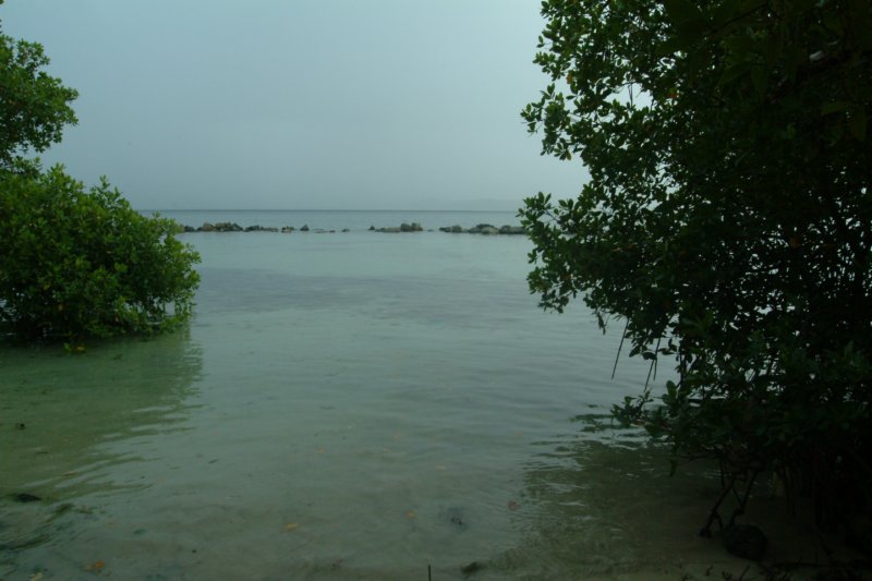 dscf0014.jpg
