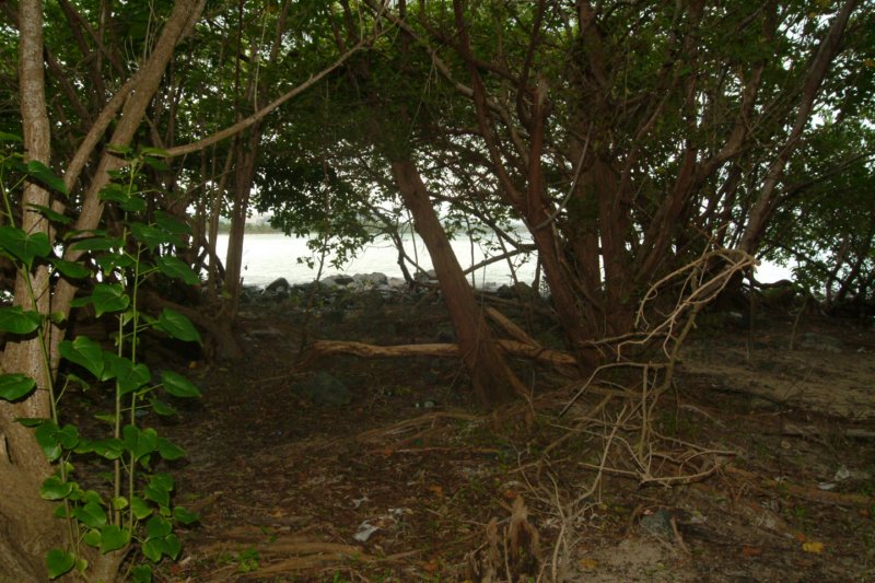dscf0017.jpg