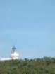 dscn0244_small.jpg