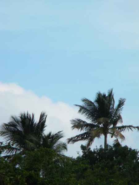 dscn0313.jpg