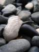 dscn0328_small.jpg